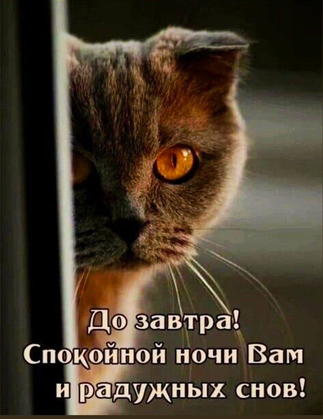 До завтра! Спокойной ночи Вам и радужных снов!