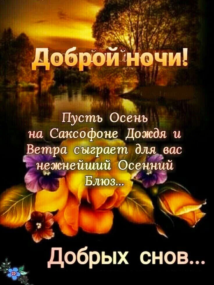 Доброй ночи!
Пусть Осень на саксофоне дождя и ветра сыграет для вас нежнейший Осенний Блюз...
Добрых снов...