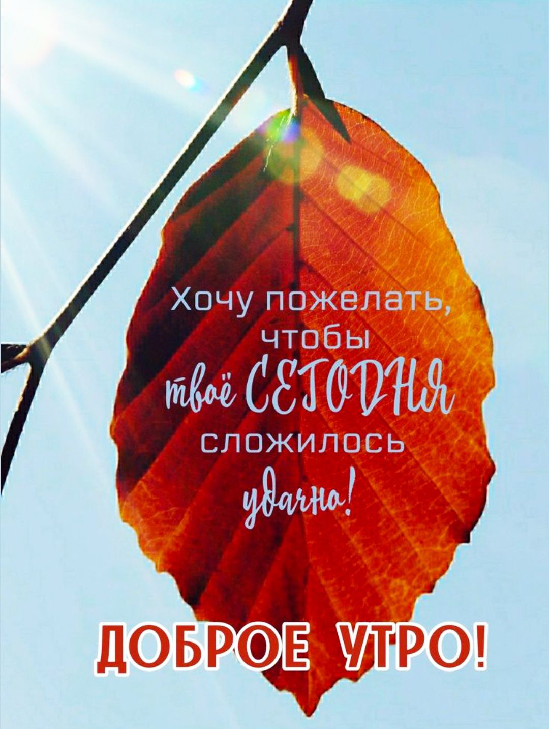 Хочу пожелать, чтобы твоё сегодня сложилось удачно!\nДОБРОЕ УТРО!