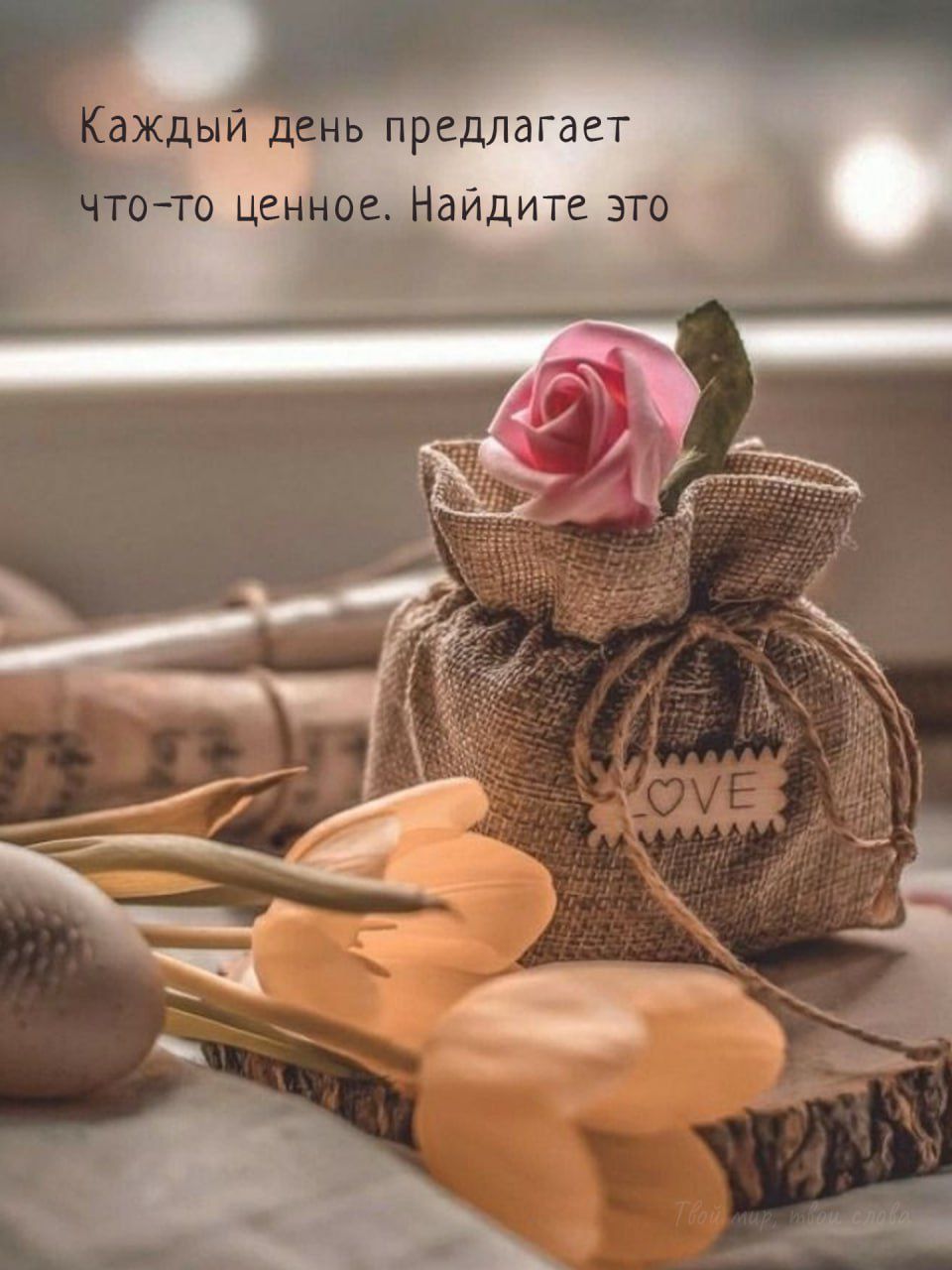 Каждый день предлагает что-то ценное. Найдите это