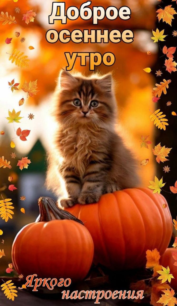 Доброе осеннее утро Яркого настроения