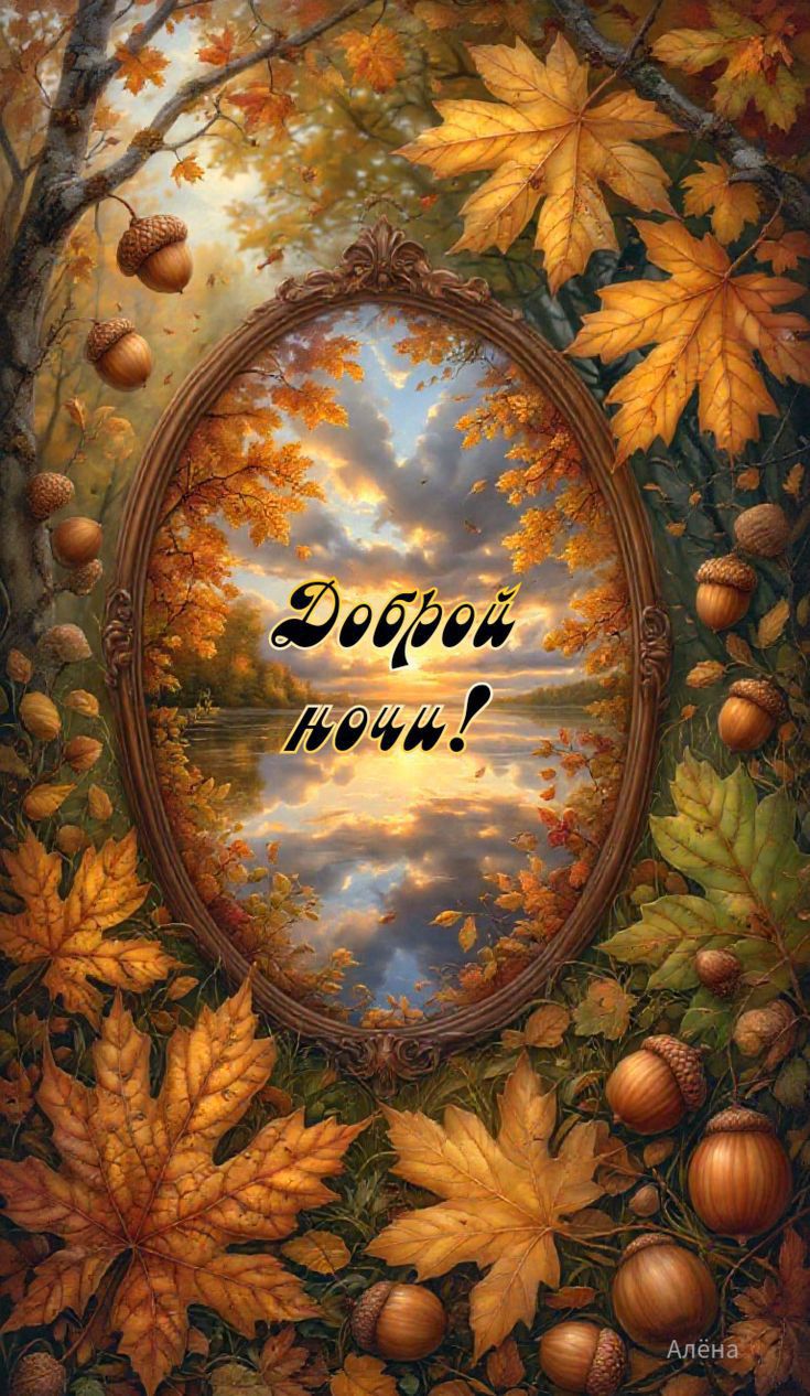 Доброй ночи!