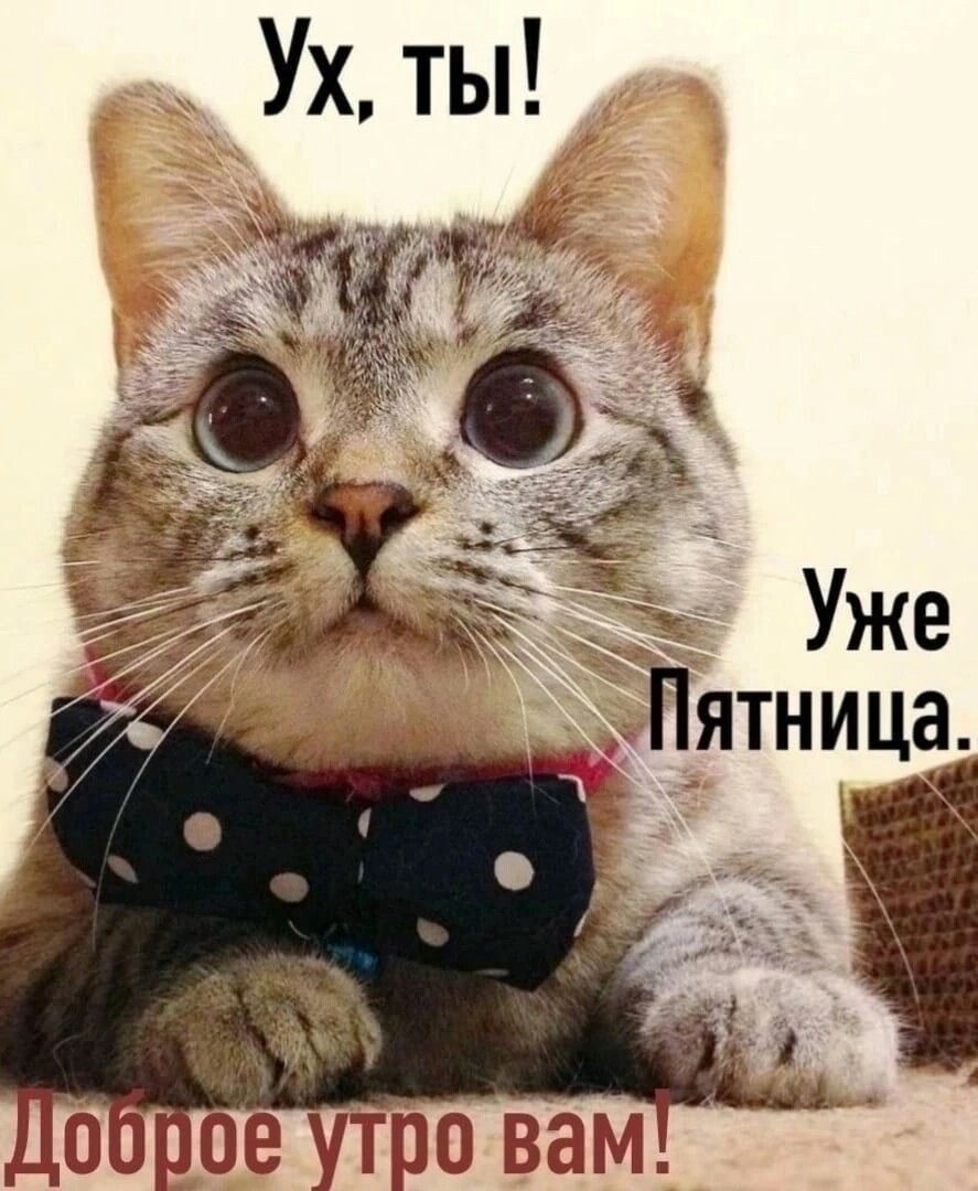Ух, ты! Уже Пятница. Доброе утро вам!