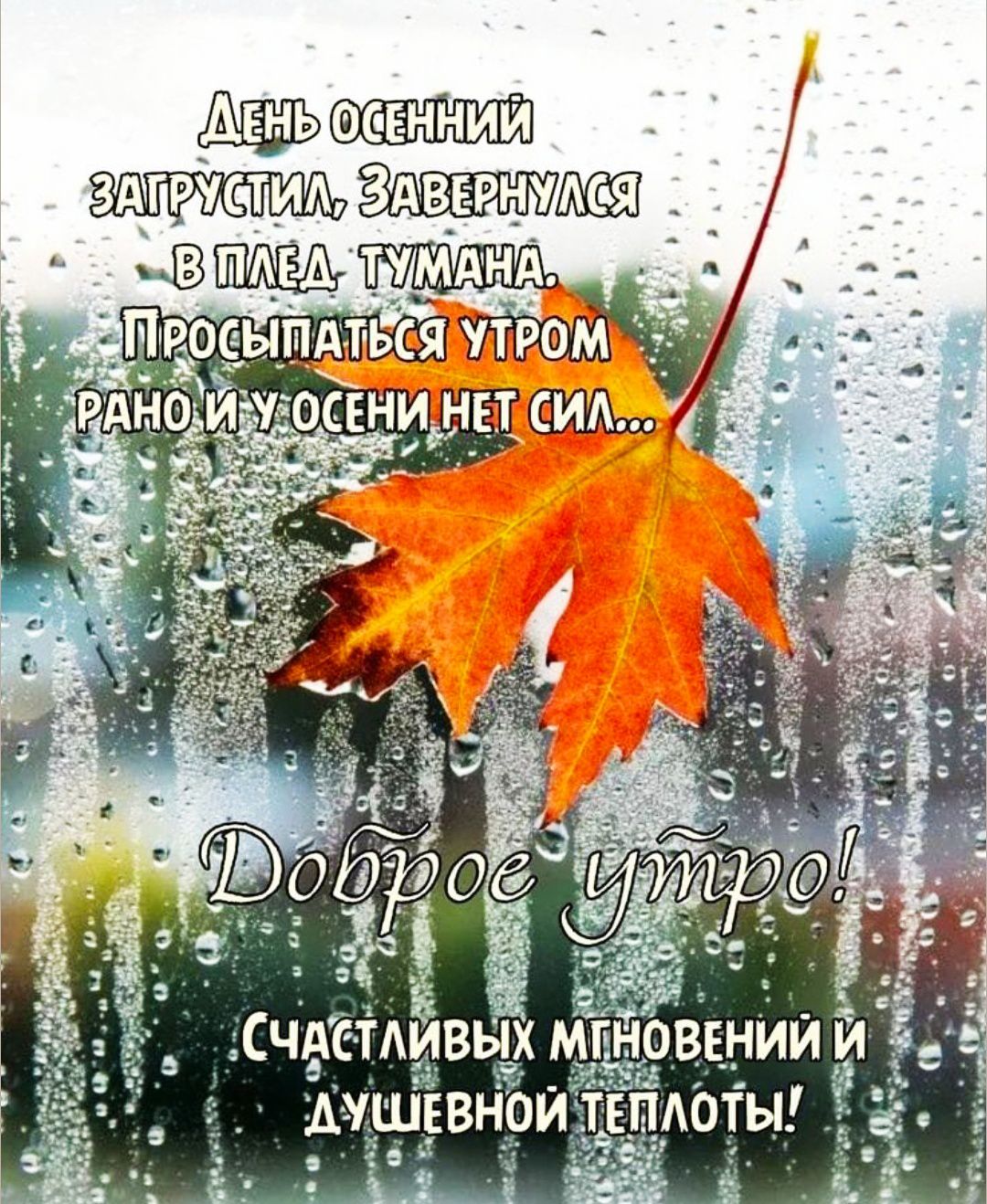 ДЕНЬ ОСЕННИЙ ЗАПРУСТИЛ, ЗАВЕРНУЛСЯ В ПЛЕД ТУМАНА. ПРОСЫПАТЬСЯ УТРОМ РАНО И У ОСЕНИ НЕТ СИЛ... ДОБРОЕ УТРО! СЧАСТЛИВЫХ МГНОВЕНИЙ И ДУШЕВНОЙ ТЕПЛОТЫ!