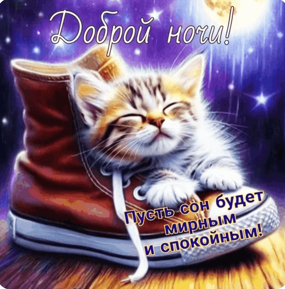 Доброй ночи! Пусть сон будет мирным и спокойным!