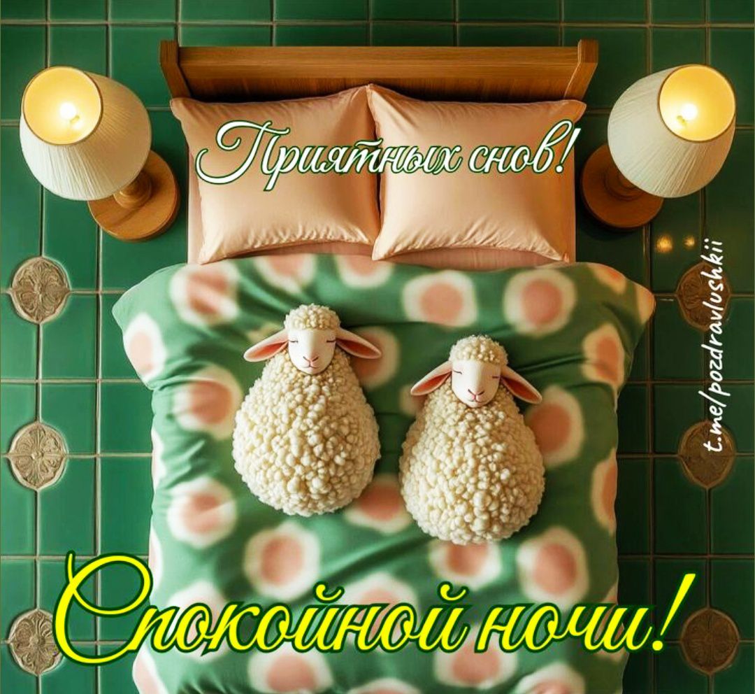 Приятных снов! Спокойной ночи!