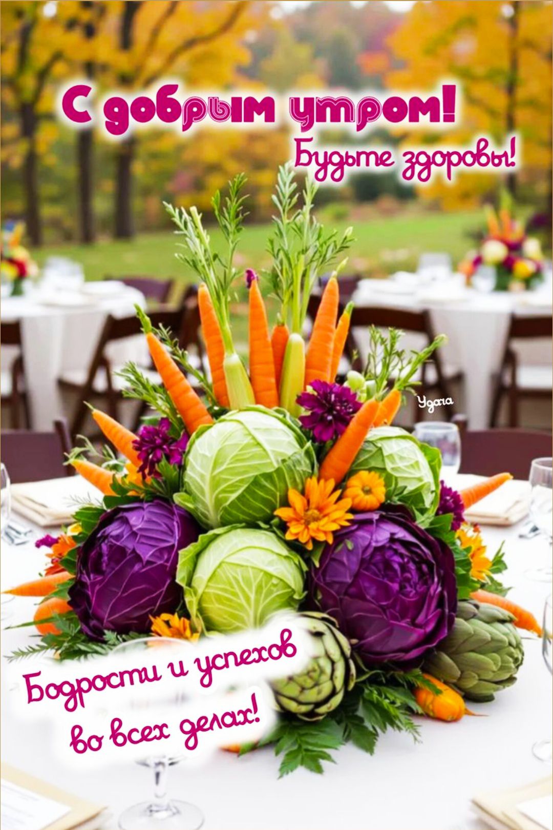 С добрым утром! Будьте здоровы
Бодрости и успехов во всех делах!