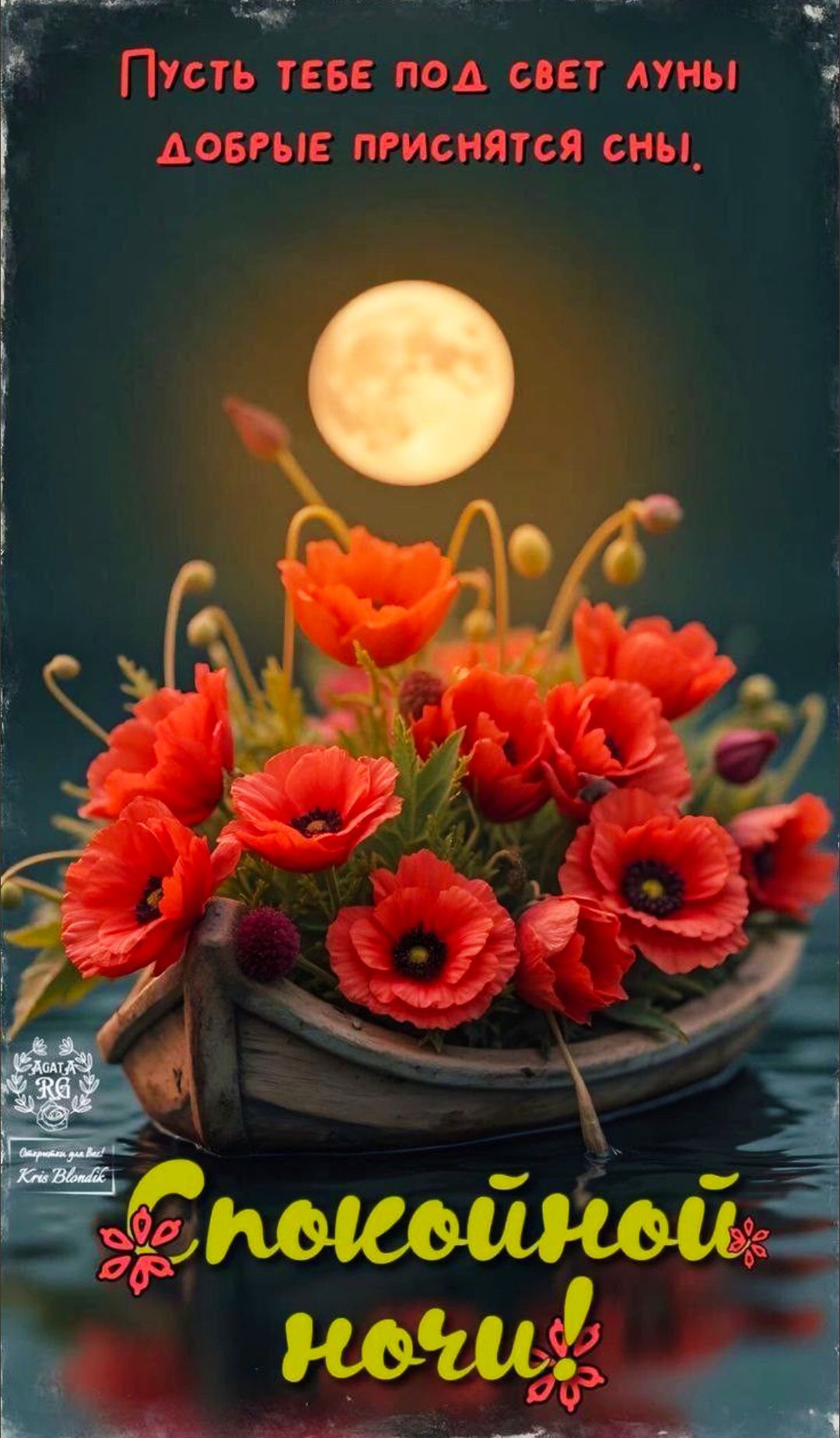 Пусть тебе под свет луны добрые приснятся сны,\nспокойной ночи!
