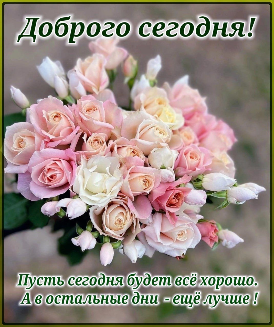 Доброго сегодня! Пусть сегодня будет всё хорошо. А в остальные дни - ещё лучше!