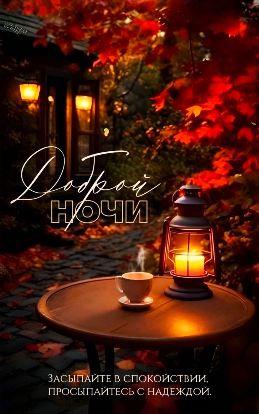 Доброй ночи. Засыпайте в спокойствии, просыпайтесь с надеждой.