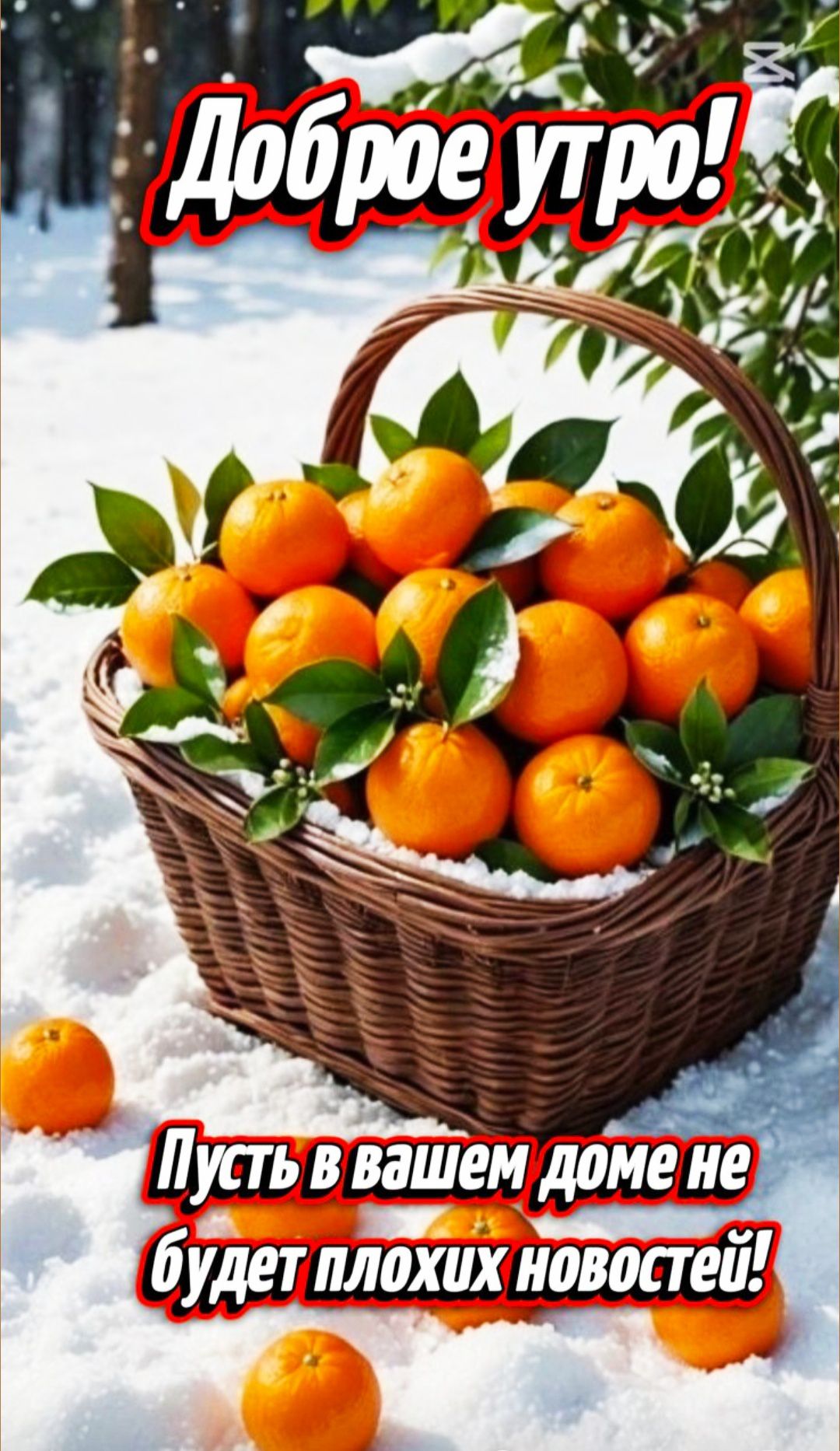 Доброе утро! Пусть в вашем доме не будет плохих новостей!