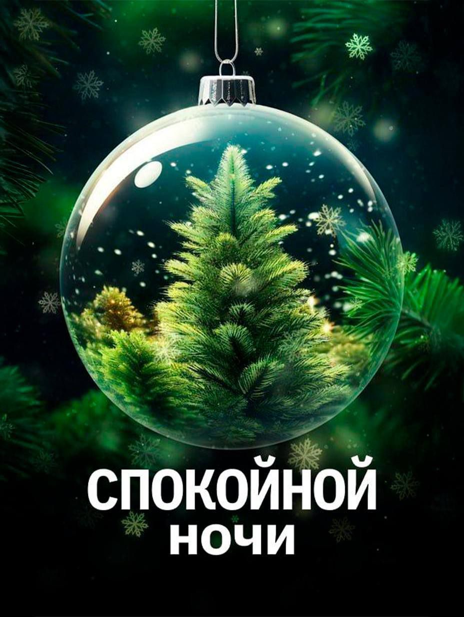 СПОКОЙНОЙ НОЧИ