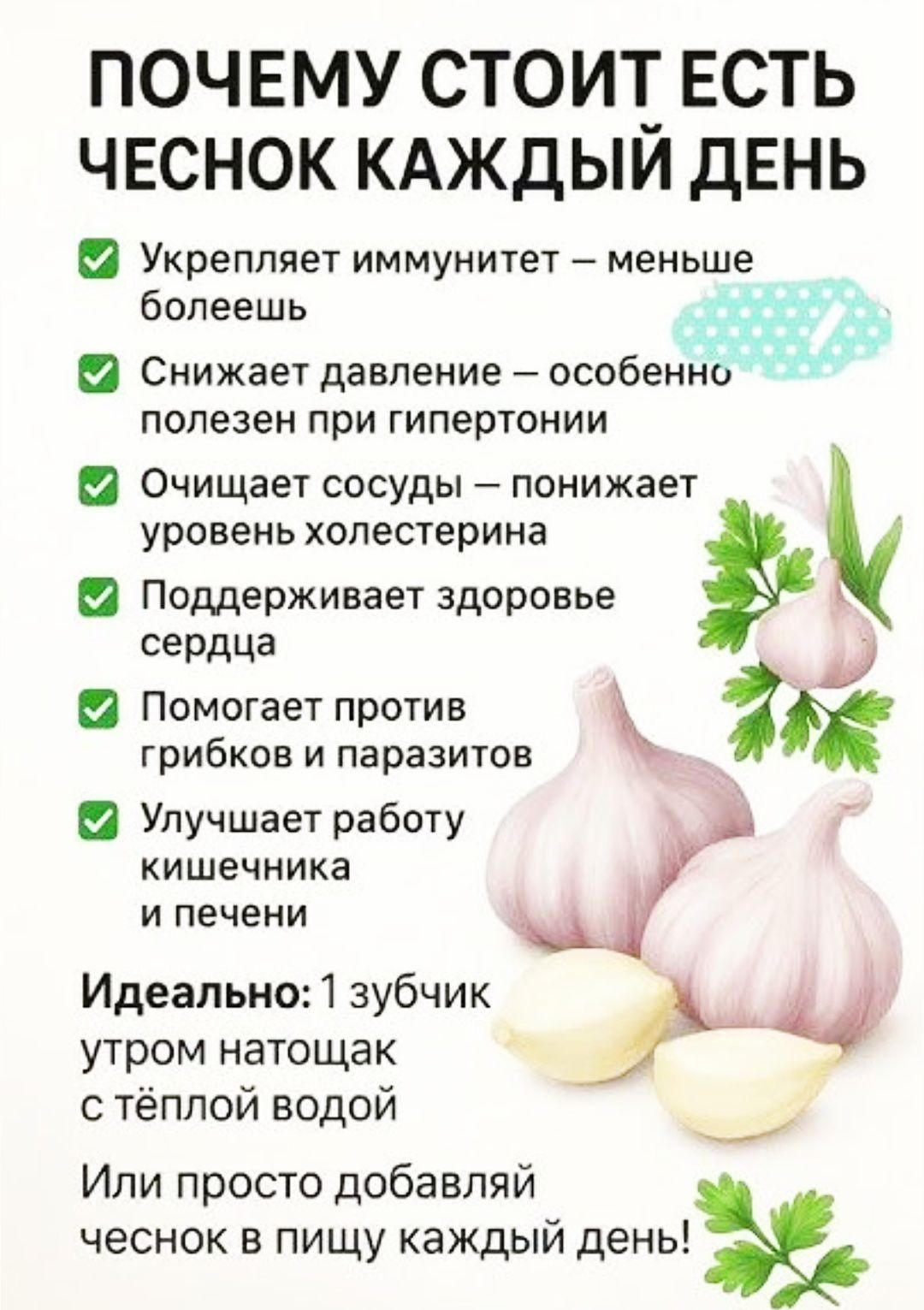 ПОЧЕМУ СТОИТ ЕСТЬ ЧЕСНОК КАЖДЫЙ ДЕНЬ. Укрепляет иммунитет — меньше болеешь. Снижает давление — полезен при гипертонии. Очищает сосуды — понижает уровень холестерина. Поддерживает здоровье сердца. Помогает против грибков и паразитов. Улучшает работу кишечника и печени. Идеально: 1 зубчик утром натощак с тёплой водой. Или просто добавляй чеснок в пищу каждый день!