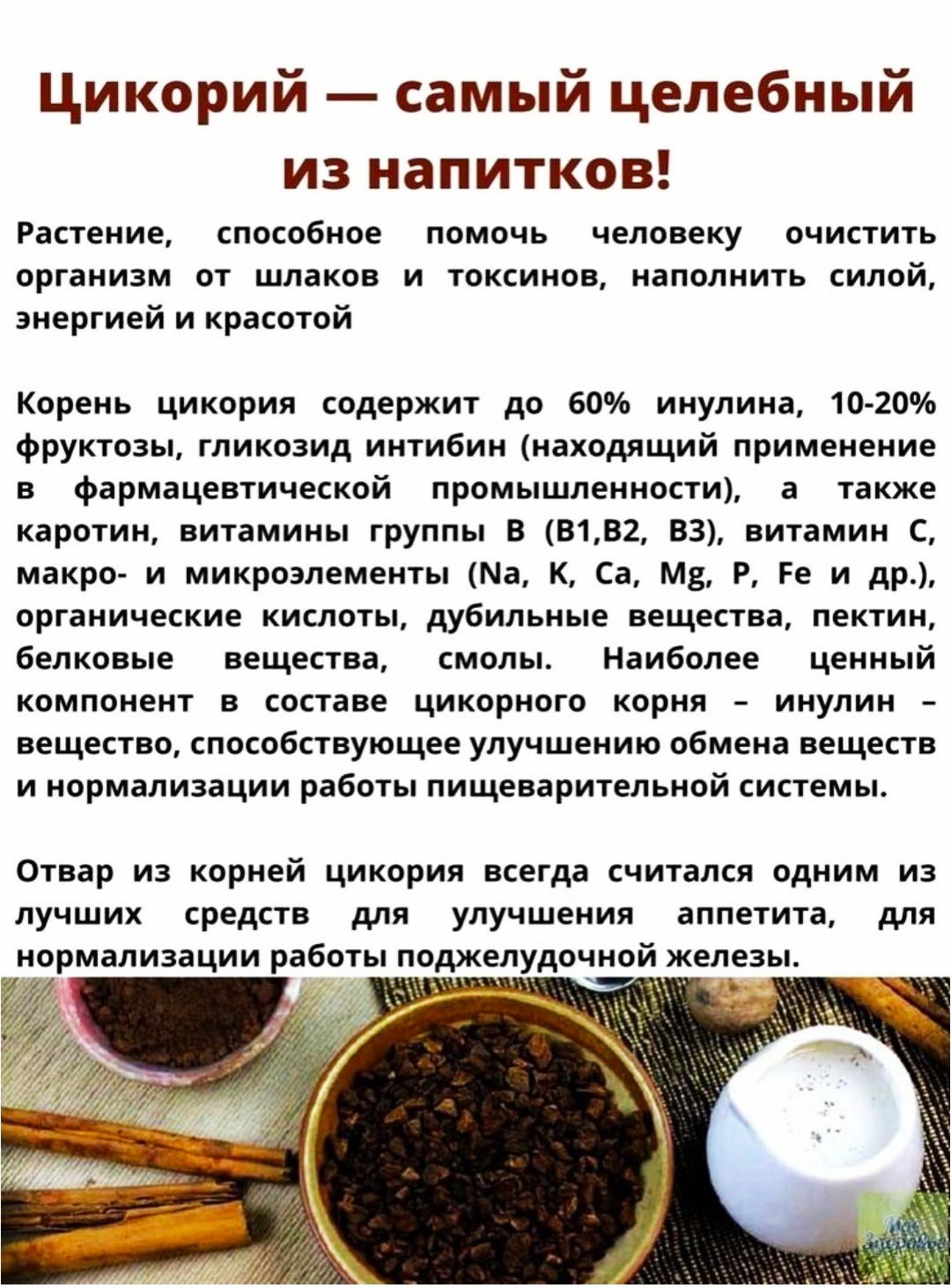Цикорий — самый целебный из напитков! Растение, способное помочь человеку очистить организм от шлаков и токсинов, наполнить силой, энергией и красотой. Корень цикория содержит до 60% инулина, 10-20% фруктозы, гликозид интинифин (находящий применение в фармацевтической промышленности), а также каротин, витамины группы В, макро- и микроэлементы. Отвар из корня цикория всегда считался одним из лучших средств для улучшения аппетита и нормализации работы желудочно-кишечной.