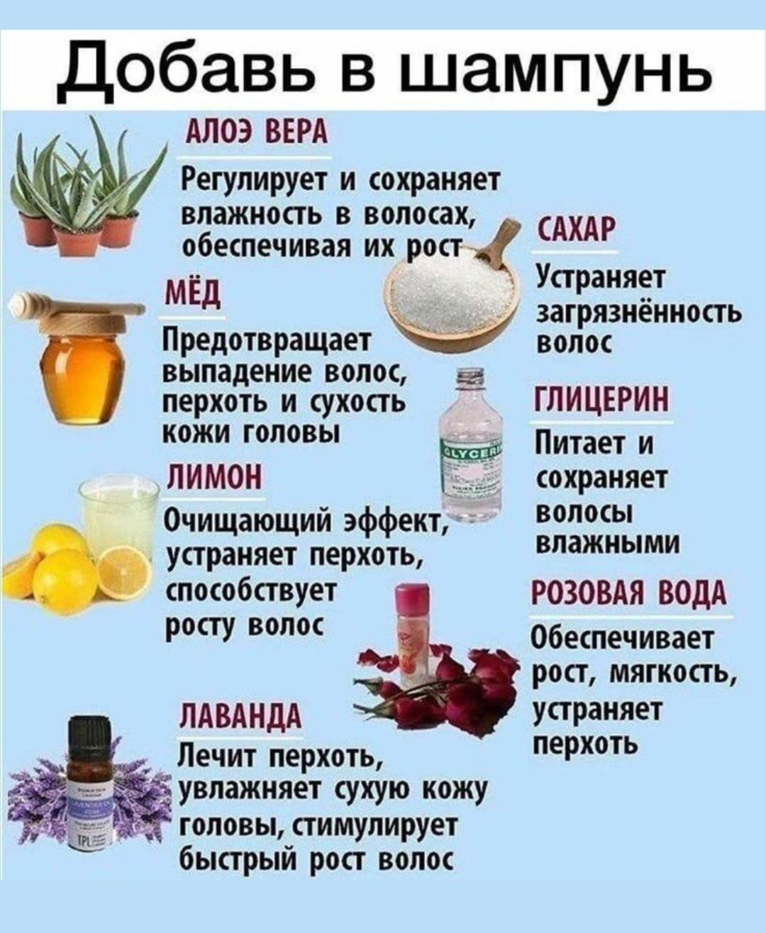 Добавь в шампунь
АЛОЭ ВЕРА Регулирует и сохраняет влажность в волосах, обеспечивая их рост
САХАР Устраняет загрязнённость волос
МЁД Предотвращает выпадение волос, перхоть и сухость кожи головы
ГЛИЦЕРИН Питаeт и сохраняет волосы влажными
ЛИМОН Очищающий эффект, устраняет перхоть, способствует росту волос
ЛАВАНДА Лечит перхоть, увлажняет сухую кожу головы, стимулирует быстрый рост волос
РОЗОВАЯ ВОДА Обеспечивает рост, мягкость, устраняет перхоть