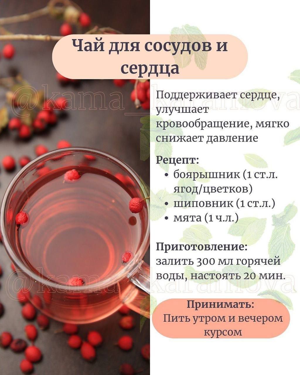 Чай для сосудов и сердца. Поддерживает сердце, улучшает кровообращение, мягко снижает давление. Рецепт: боярышник (1 ст.л. ягод/цветков), шиповник (1 ст.л.), мята (1 ч.л.). Приготовление: залить 300 мл горячей воды, настоять 20 мин. Принимать: Пить утром и вечером курсом.