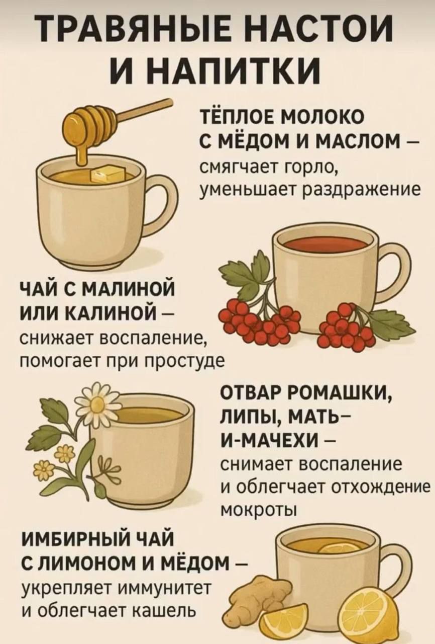 ТРАВЯНЫЕ НАСТОИ И НАПИТКИ. ТЁПЛОЕ МОЛОКО С МЁДОМ И МАСЛОМ – смягчает горло, уменьшает раздражение. ЧАЙ С МАЛИНОЙ ИЛИ КАЛИНОЙ – снижает воспаление, помогает при простуде. ОТВАР РОМАШКИ, ЛИПЫ, МАТЬ-И-МАЧЕХИ – снимает воспаление и облегчает отхождение мокроты. ИМБИРНЫЙ ЧАЙ С ЛИМОНОМ И МЁДОМ – укрепляет иммунитет и облегчает кашель.