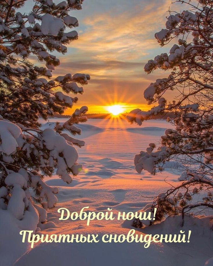 Доброй ночи! Приятных сновидений!