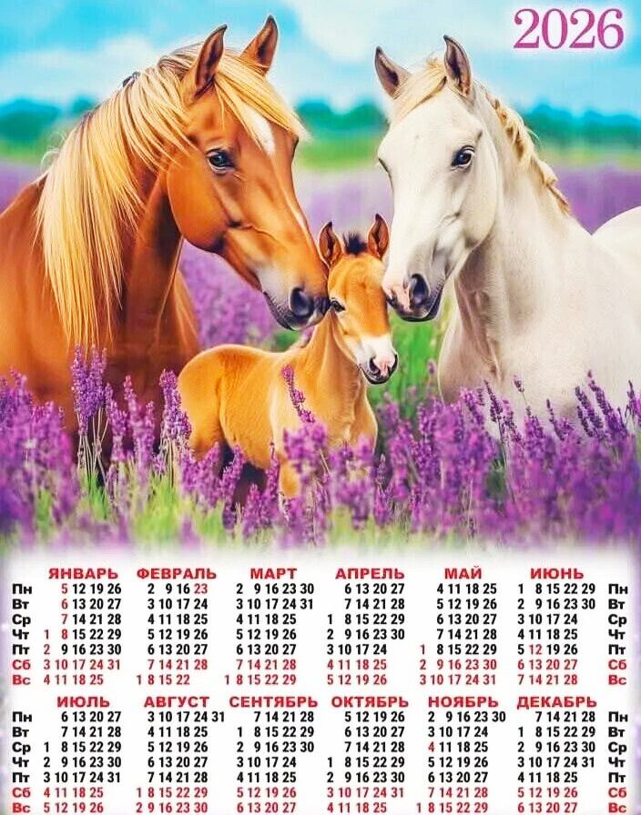 2026
ЯНВАРЬ ФЕВРАЛЬ МАРТ АПРЕЛЬ МАЙ ИЮНЬ
ИЮЛЬ АВГУСТ СЕНТЯБРЬ ОКТЯБРЬ НОЯБРЬ ДЕКАБРЬ