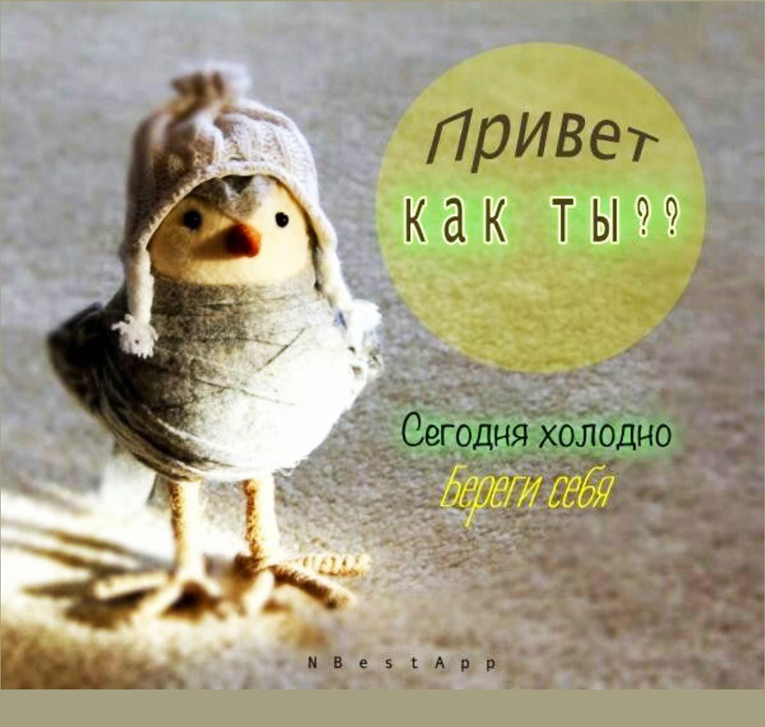 Привет! Как ты?? Сегодня холодно. Береги себя.