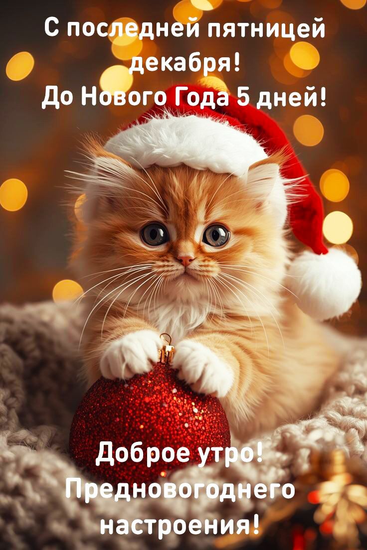 С последней пятницей декабря! До Нового Года 5 дней! Доброе утро! Предновогоднего настроения!