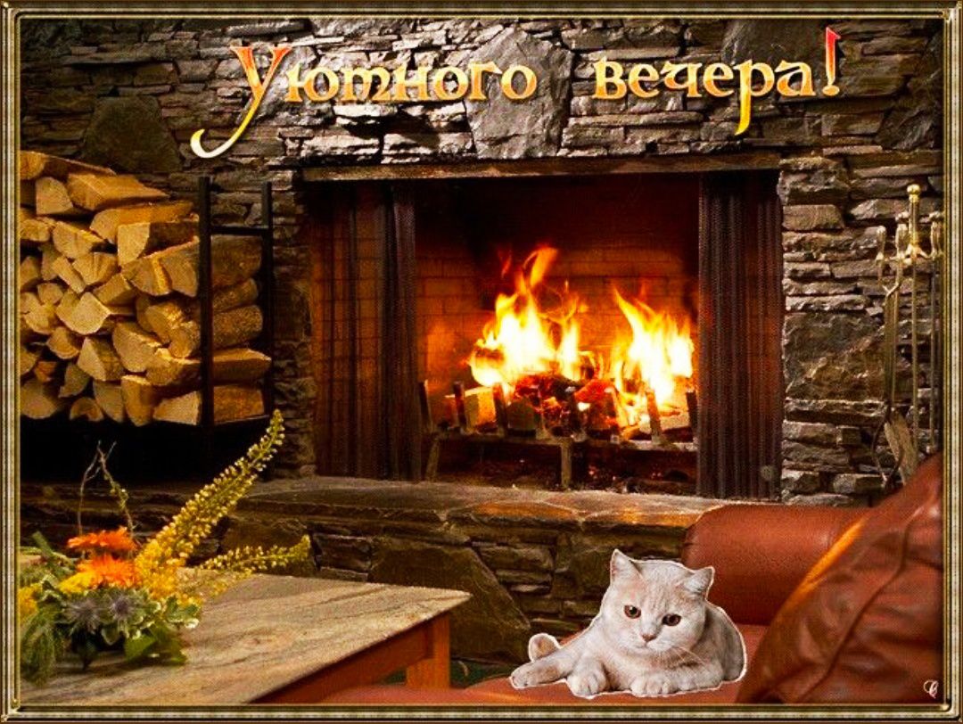 Уютного вечера!