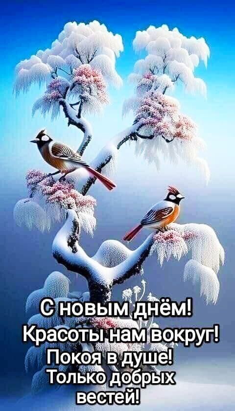С новым днём! Красоты нам вокруг! Покой в душе! Только добрых вестей!