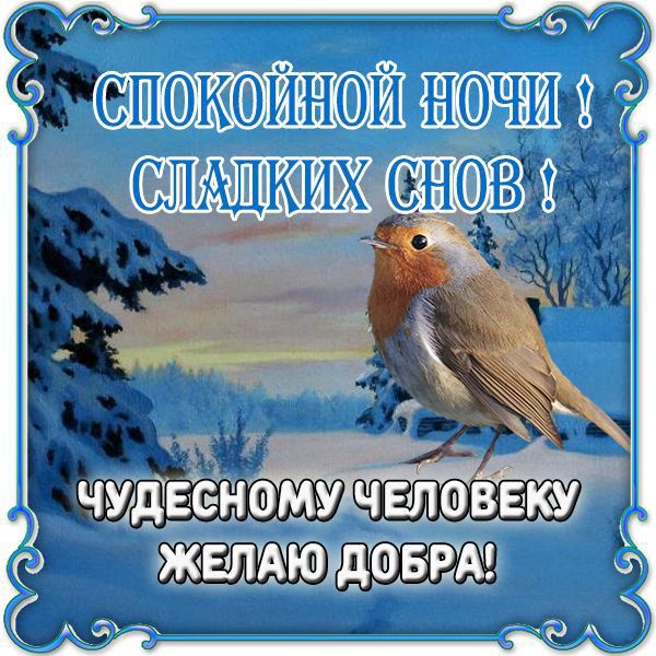 СПОКОЙНОЙ НОЧИ! СЛАДКИХ СНОВ! ЧУДЕСНОМУ ЧЕЛОВЕКУ ЖЕЛАЮ ДОБРА!