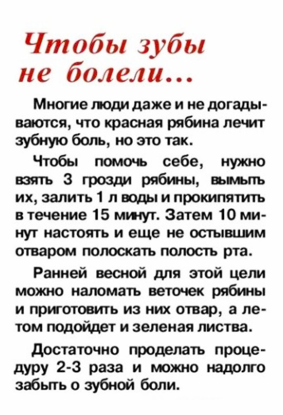 Чтобы зубы не болели... Многие люди даже не догадываются, что красная рябина лечит зубную боль, но это так. Чтобы помочь себе, нужно взять 3 грозди рябины, вымыть их, залить 1 л воды и прокипятить 15 минут. Затем 10 минут настоять и полоскать рот. Ранней весной можно наломать веточек рябины и приготовить отвар, а потом — зеленую листву. Достаточно 2-3 раза и забыть о боли.