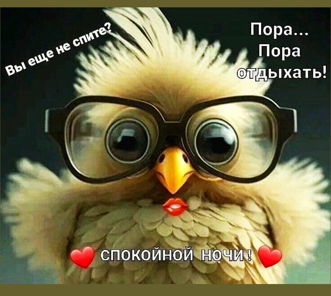 Вы еще не спите? Пора... Пора отдыхать! Спокойной ночи ❤️