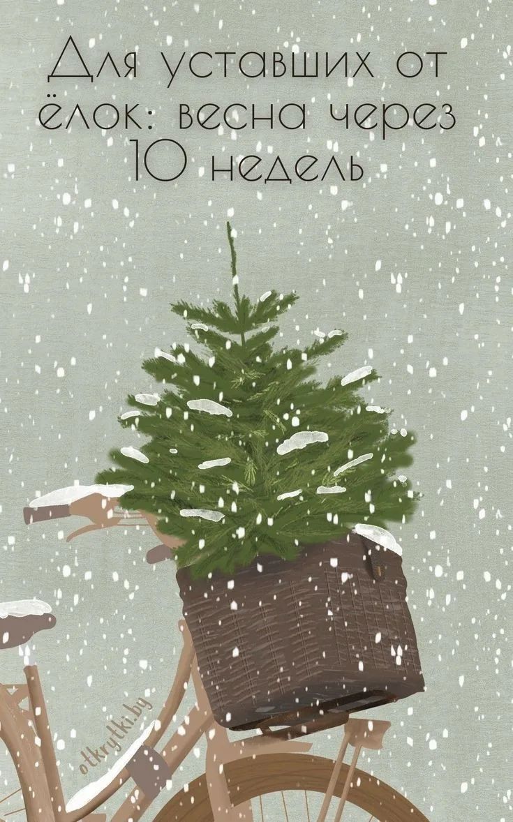 Для усталых от ёлок: весна через 10 недель