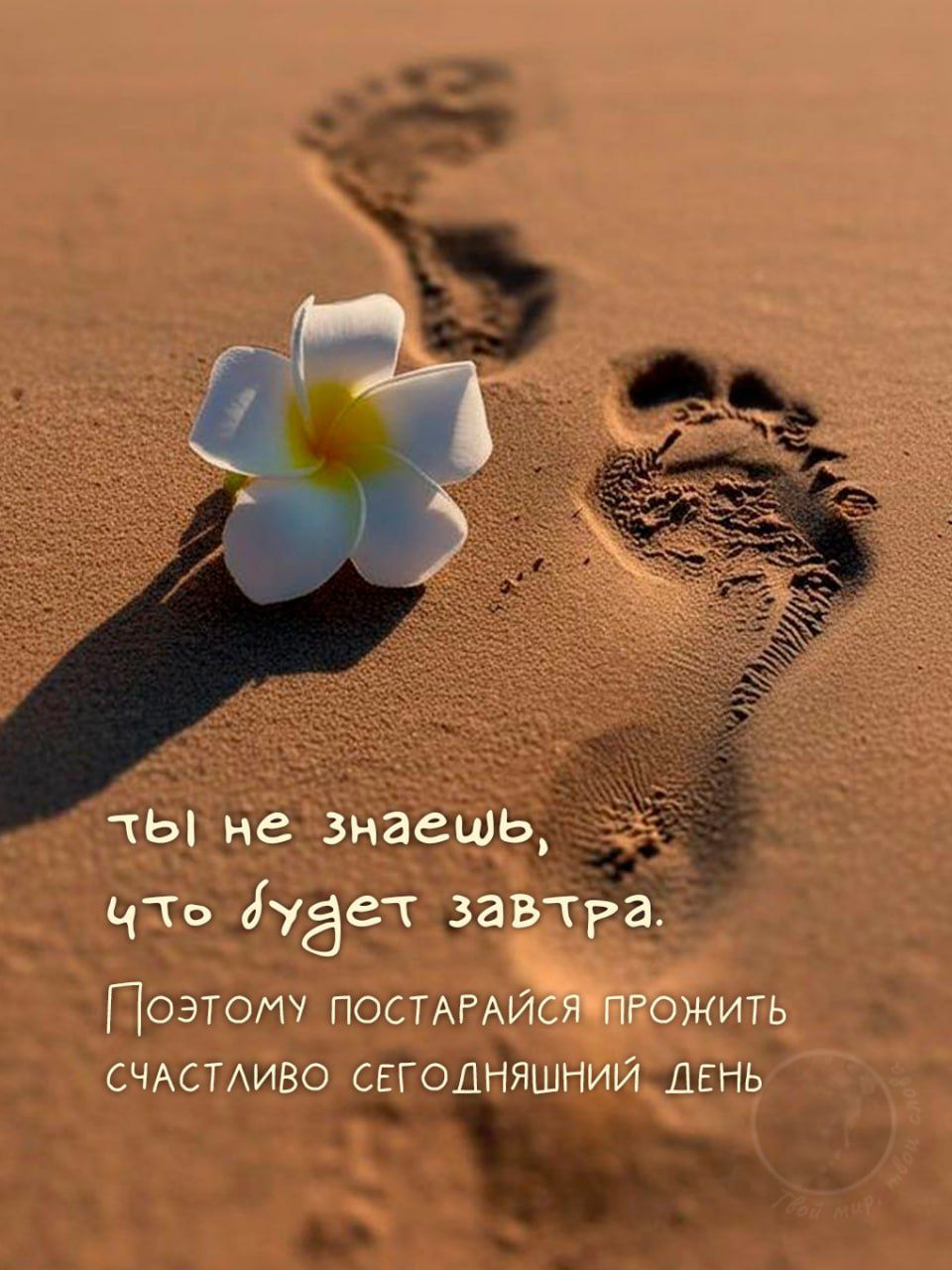 ты не знаешь, что будет завтра. Поэтому постарайся прожить счастливо сегодняшний день