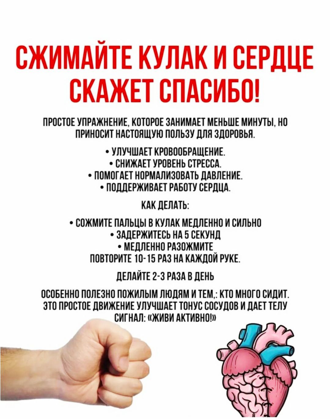 Сжимайте кулак и сердце скажет спасибо! Простое упражнение, которое занимает меньше минуты. Улучшает кровообращение. Снижает уровень стресса. Помогает нормализовать давление. Поддерживает работу сердца. Как делать: сожмите пальцы в кулак медленно и сильно, задержитесь на 5 секунд, медленно разожмите, повторите 10–15 раз на каждой руке.