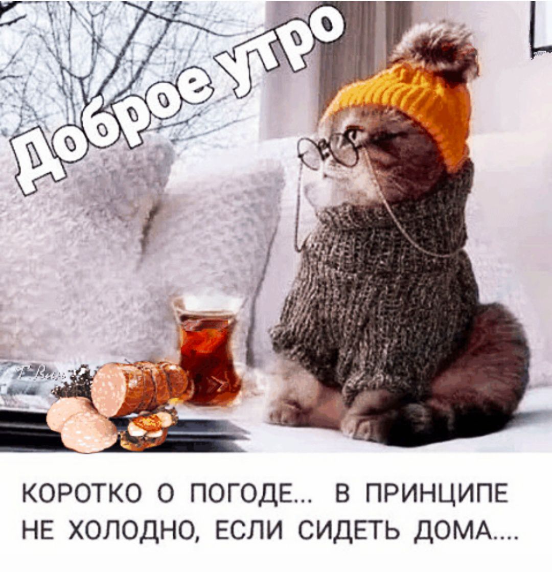 Доброе утро
КОРОТКО О ПОГОДЕ... В ПРИНЦИПЕ НЕ ХОЛОДНО, ЕСЛИ СИДЕТЬ ДОМА...