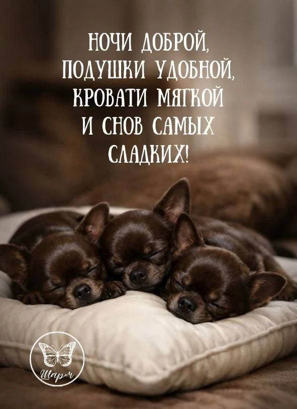 Ночи доброй, подушки уютной, кровати мягкой и снов самых сладких!