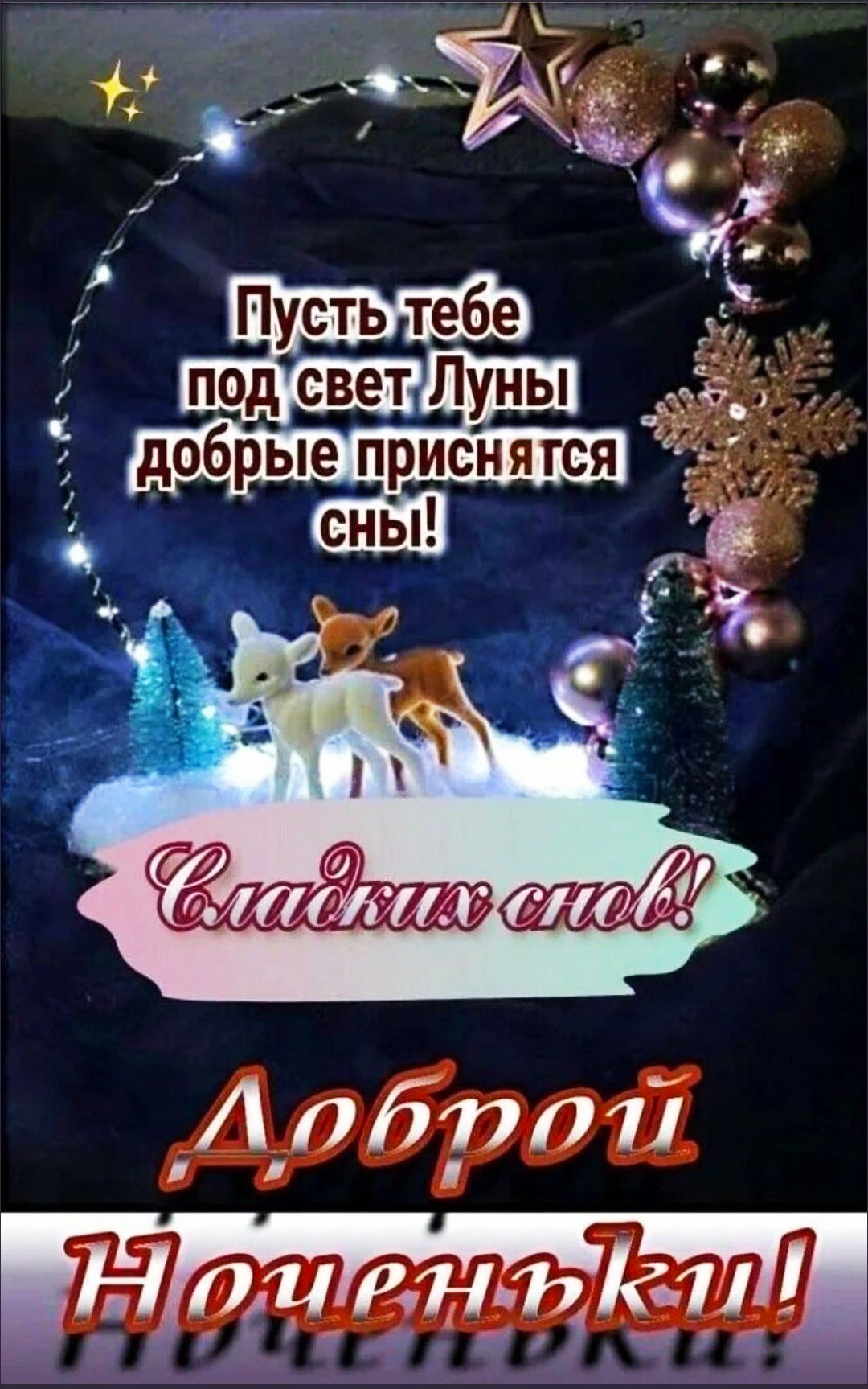 Пусть тебе под свет Луны добрые приснятся сны! Сладких снов! Доброй Ноченьки!