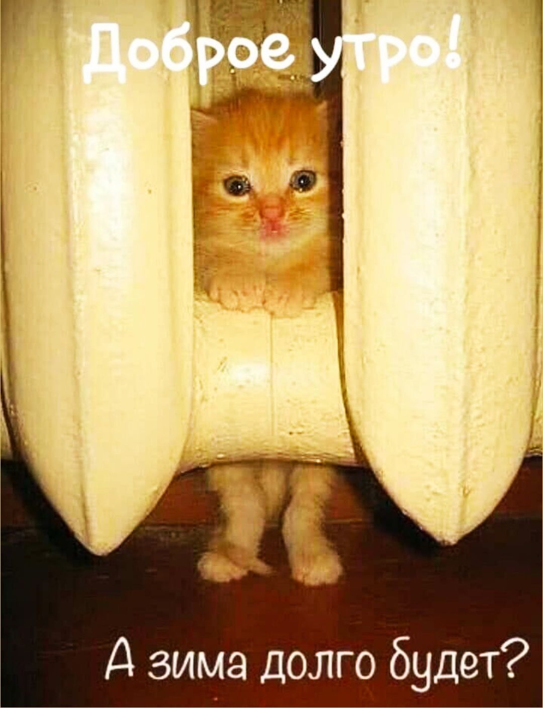 Доброе утро! А зима долго будет?