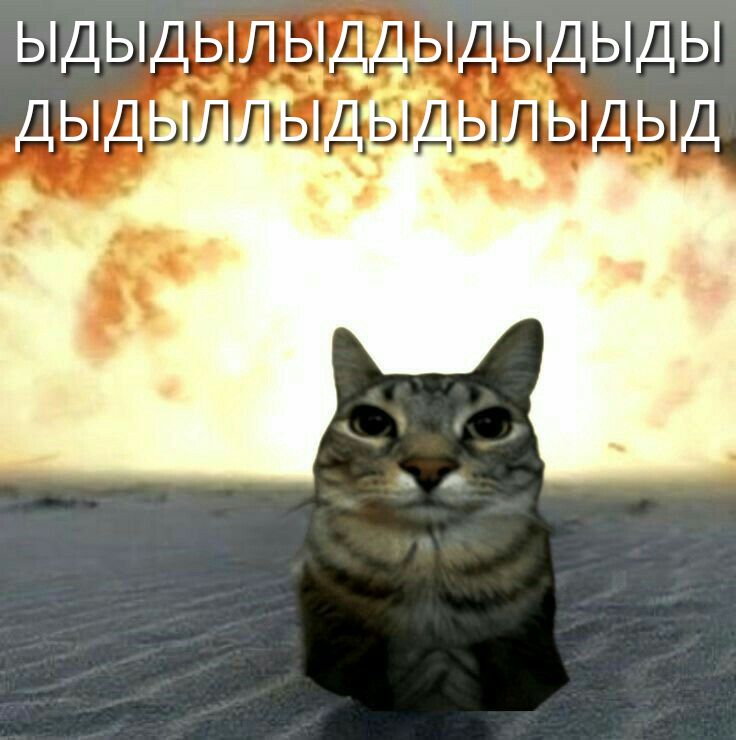 ЫДЫДЫЛЫИДЫДЫДЫЫЫЫЫЫЫЫЫЫЫЫ
