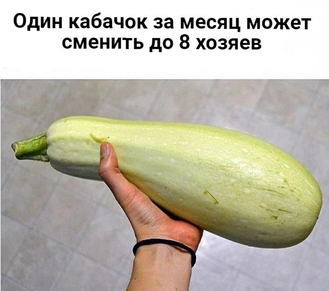 Один кабачок за месяц может сменить до 8 хозяев
