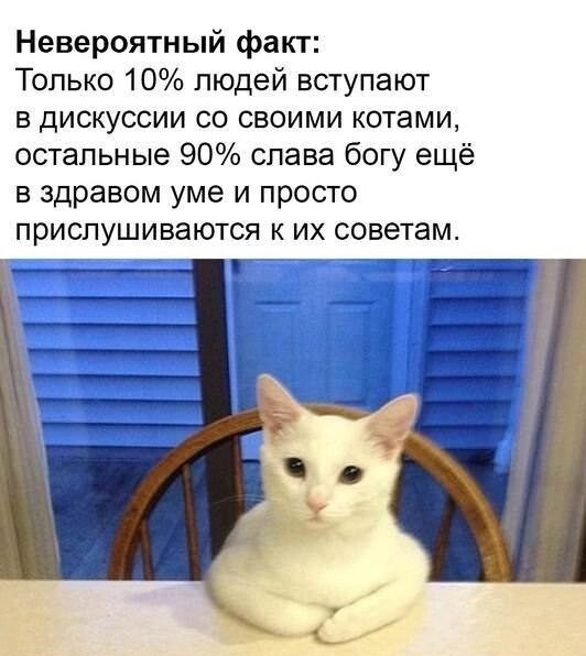 Невероятный факт: Только 10% людей вступают в дискуссии со своими котами, остальные 90% слава богу ещё в здравом уме и просто прислушиваются к их советам.