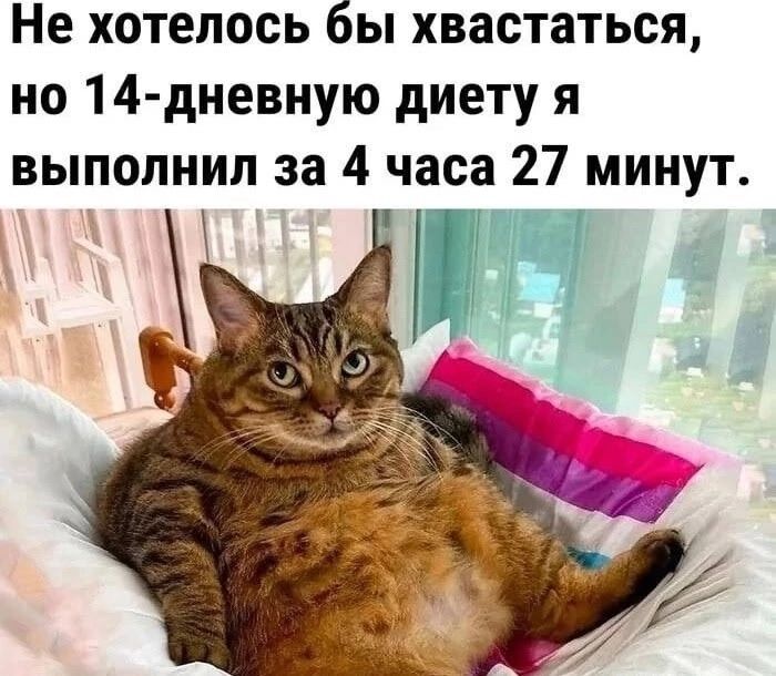 Не хотелось бы хвастаться, но 14-дневную диету я выполнил за 4 часа 27 минут.
