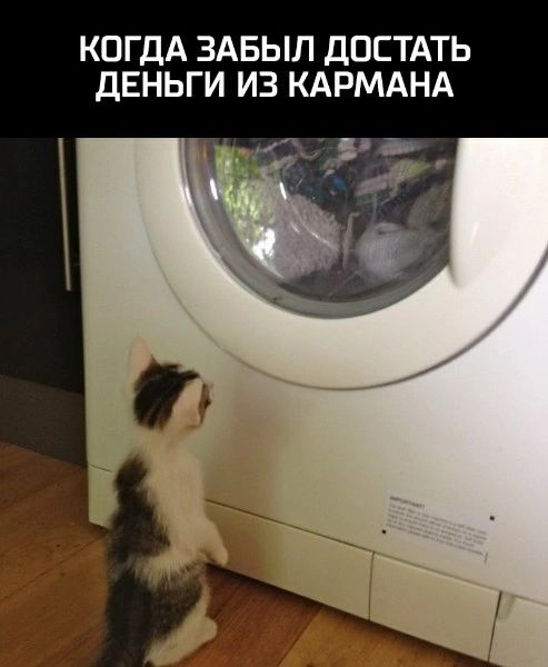 КОГДА ЗАБЫЛ ДОСТАТЬ ДЕНЬГИ ИЗ КАРМАНА