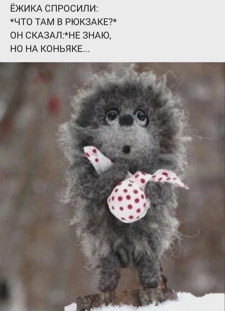 ЁЖИКА СПРОСИЛИ: *ЧТО ТАМ В РЮКЗАКЕ?* ОН СКАЗАЛ:*НЕ ЗНАЮ, НО НА КОНЬЯКЕ...