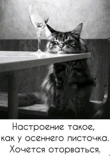 Настроение такое, как у осеннего листочка. Хочется оторваться.