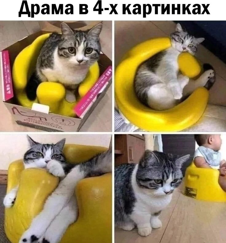 Драма в 4-x картинках