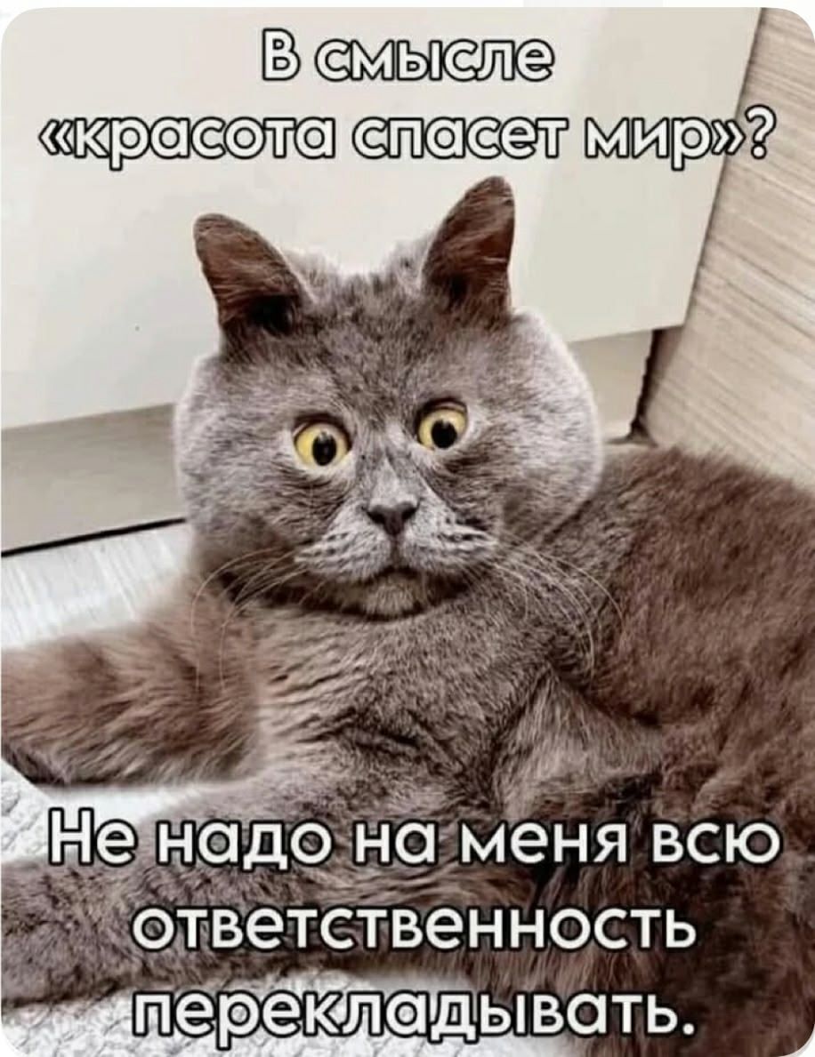 В смысле «красота спасет мир»? Не надо на меня всю ответственность перекладывать.