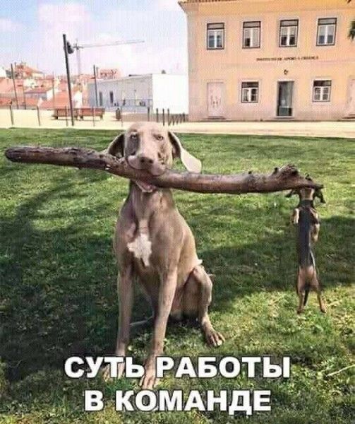 СУТЬ РАБОТЫ В КОМАНДЕ