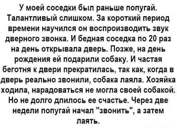 У моей соседки был раньше попугай. Талантливый слишком. За короткий период времени научился он воспроизводить звук дверного звонка. И бедная соседка по 20 раз на день открывала дверь. Позже, на день рождения ей подарили собаку. И частая беготня к двери прекратилась, так как, когда в дверь реально звонили, собака лаяла. Хозяйка ходила, нарадоваться не могла своей собакой. Но не долго длилось ее счастье. Через две недели попугай начал 