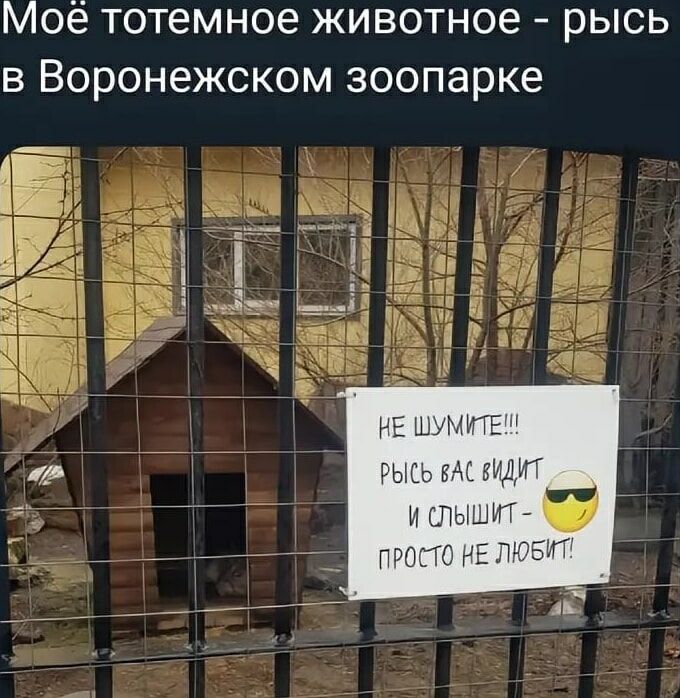 Моё тотемное животное - рысь в Воронежском зоопарке

НЕ ШУМИТЕ!!!
РЫСЬ ВАС ВИДИТ
И СЛЫШИТ -
ПРОСТО НЕ ЛЮБИТ!