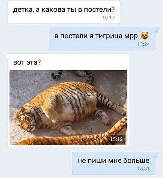 детка, а какова ты в постели?
в постели я тигрица мрр 😻
вот эта?
не пиши мне больше